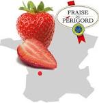 fraise du périgord
