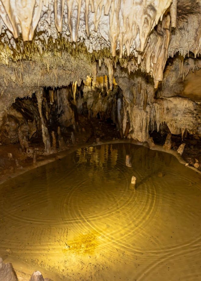 Grotte de Domme