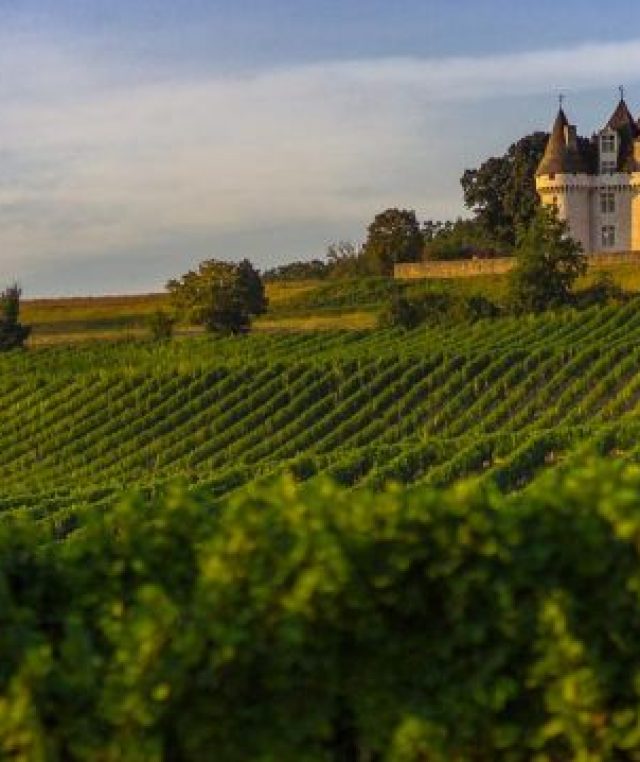 chateaudemonbazillac-01
