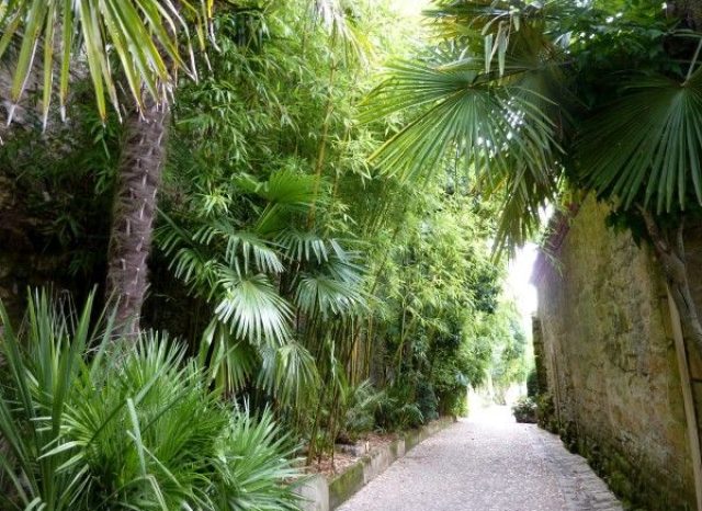 Jardin exotique de la Roque-Gajeac